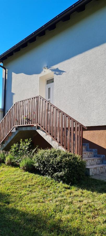 Apartment Nina Dreznik Grad Bagian luar foto