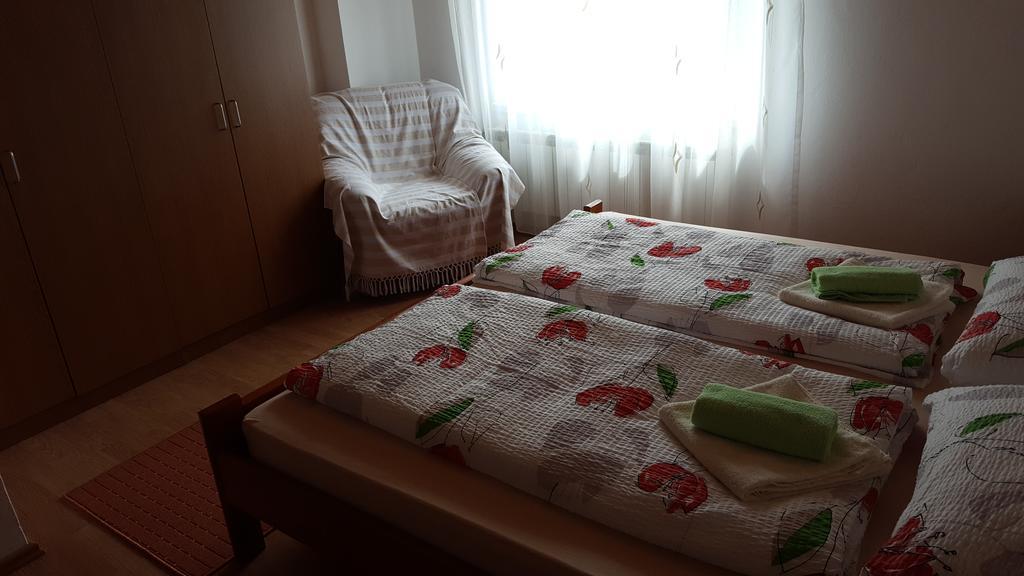 Apartment Nina Dreznik Grad Bagian luar foto