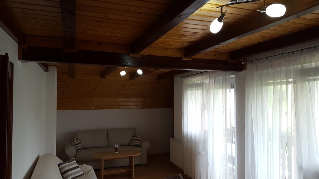 Apartment Nina Dreznik Grad Bagian luar foto
